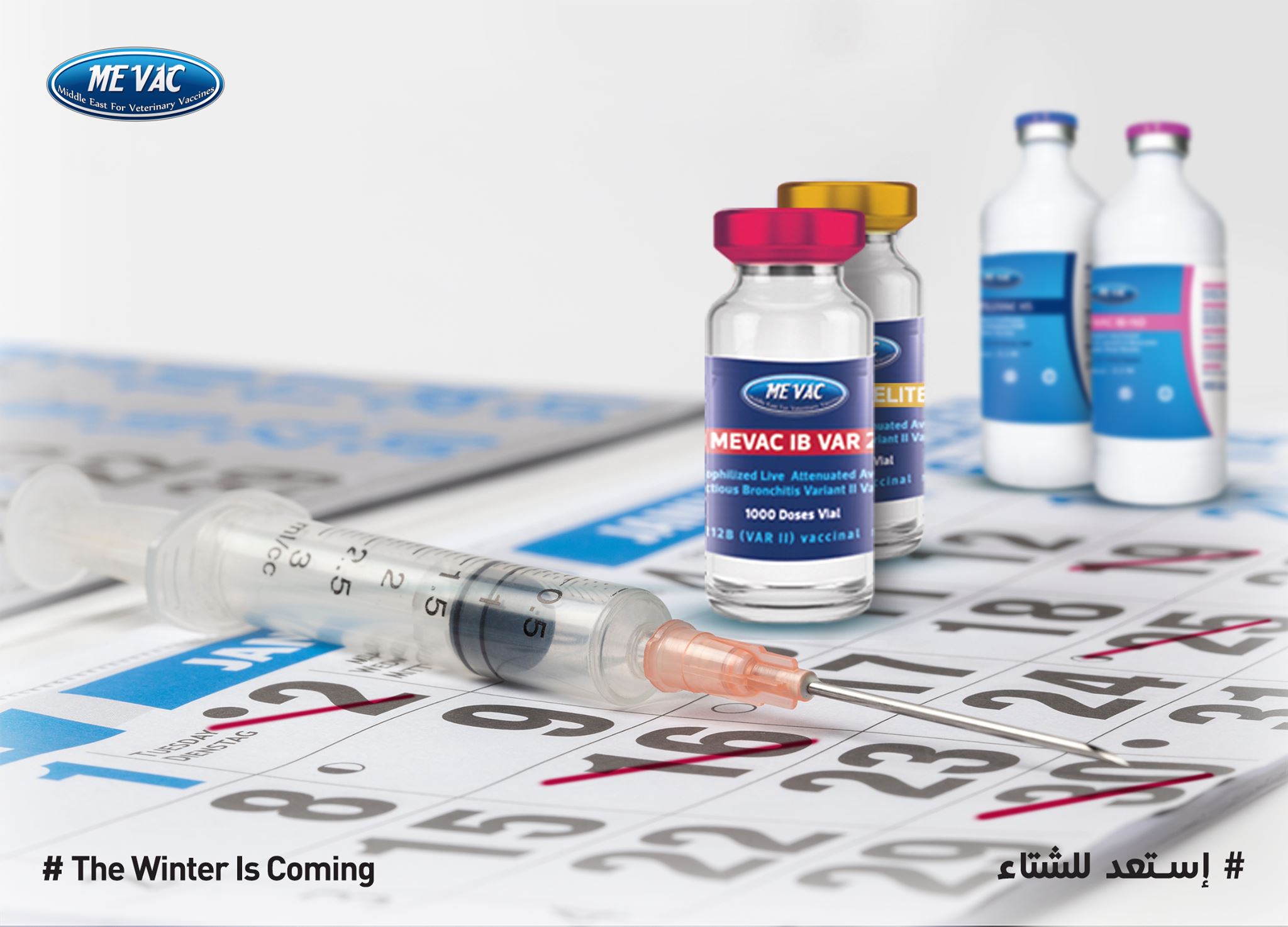 الخطوة الأخيرة في خطوات... - MEVAC for Vaccines - ميفاك