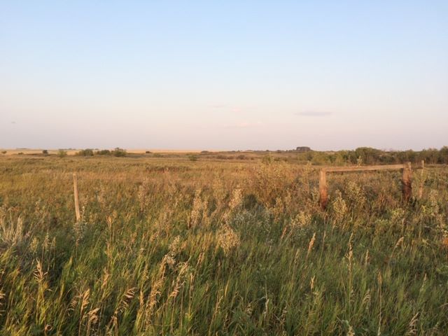 RM of Rudy No. 284 | Broderick SK