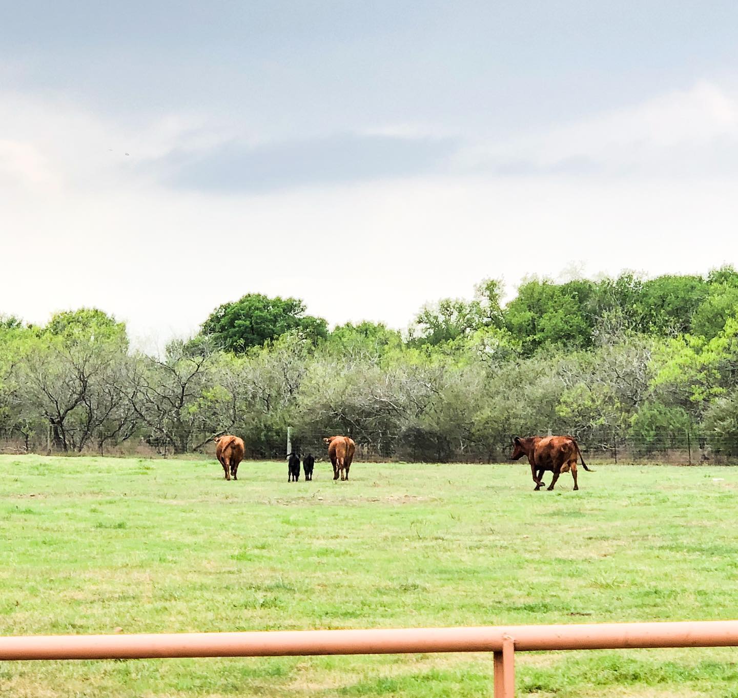 Tuna Rosa Ranch - We are sending thoughts and prayers to...