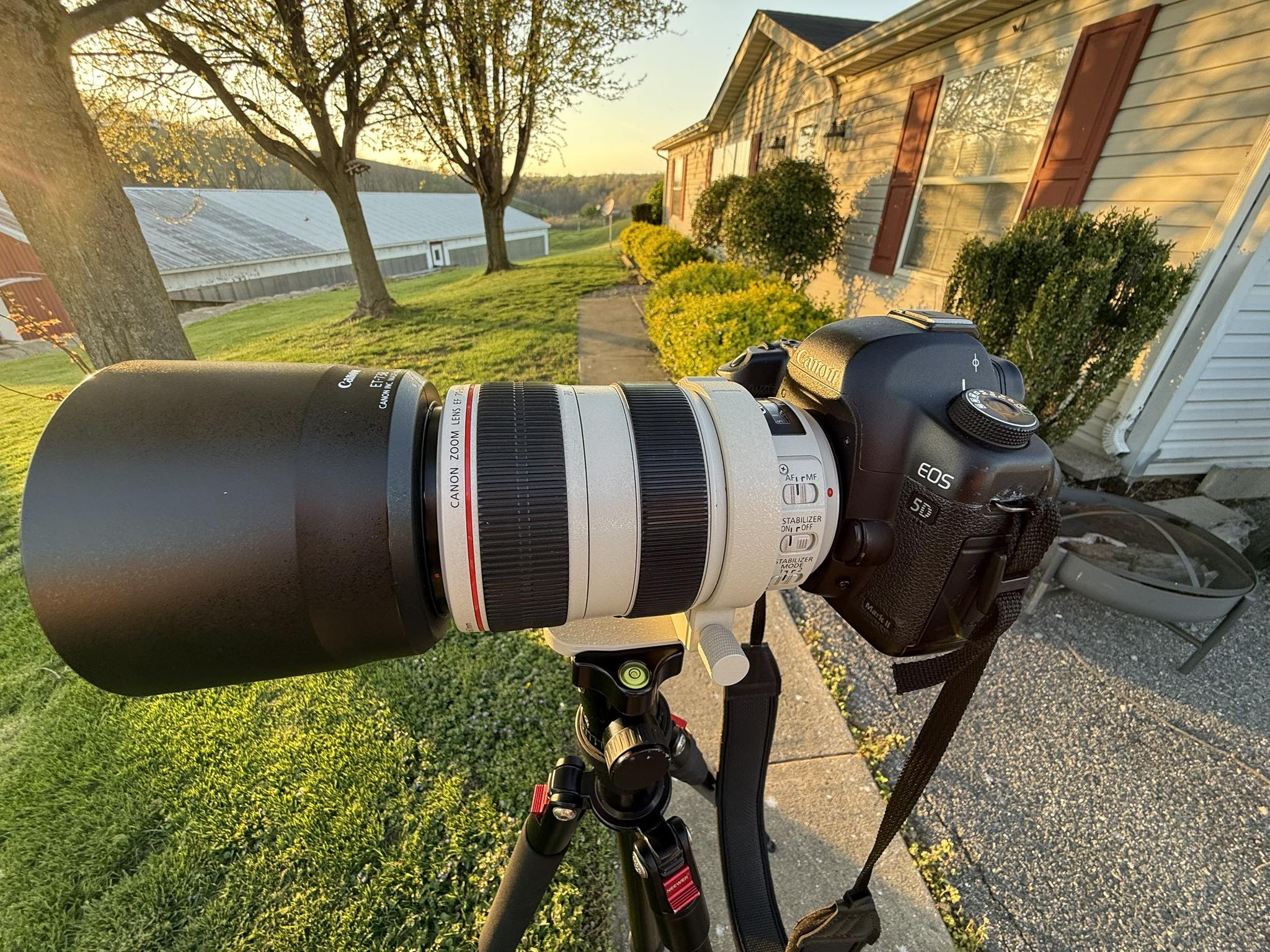 Canon EOS 5D Mark II with EF-L 70-300 lens