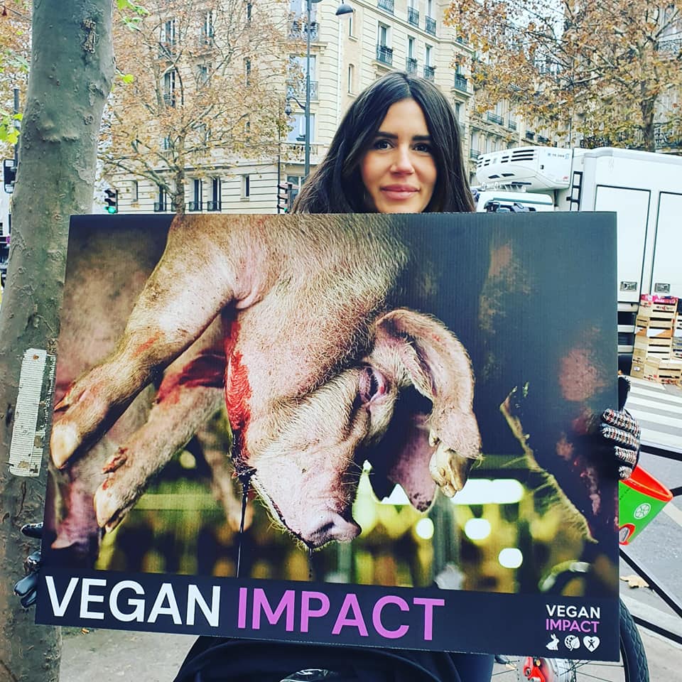 Vegan Impact - Action Vegan Impact sur un marché parisien... | Facebook