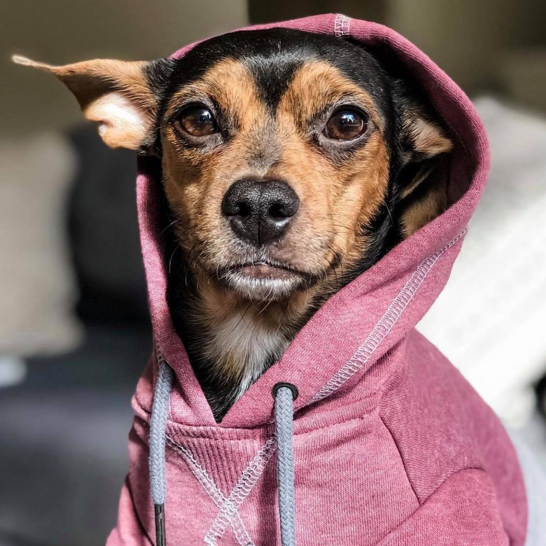 Bernie update #3 Bernie is off the table and recovering from the ...