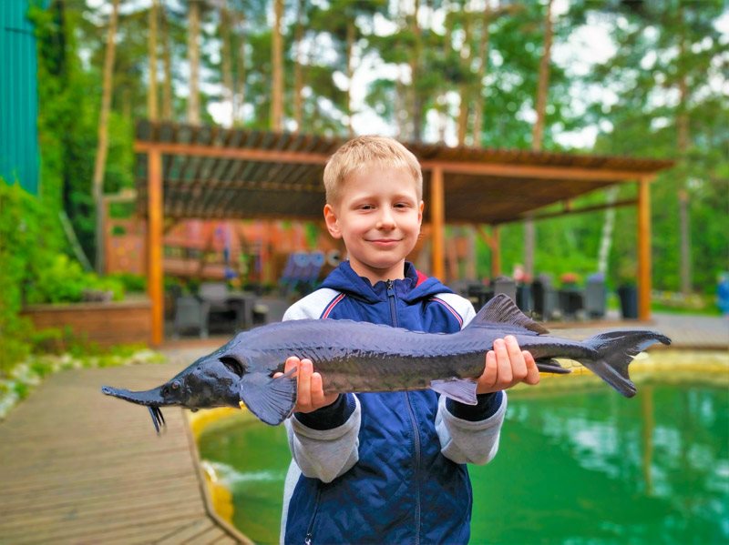 Fish Point - Настоящая рыбалка для детей вместе с... | Facebook