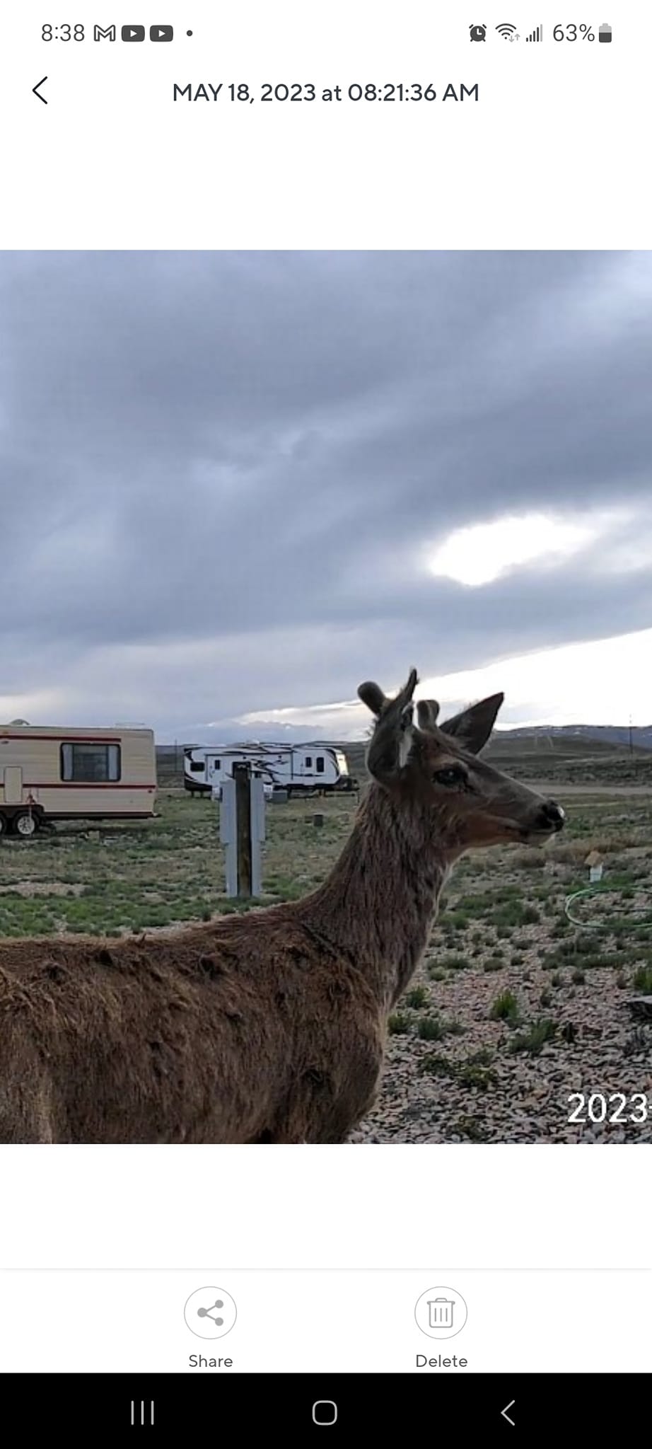 Mountain Bluebird RV Park