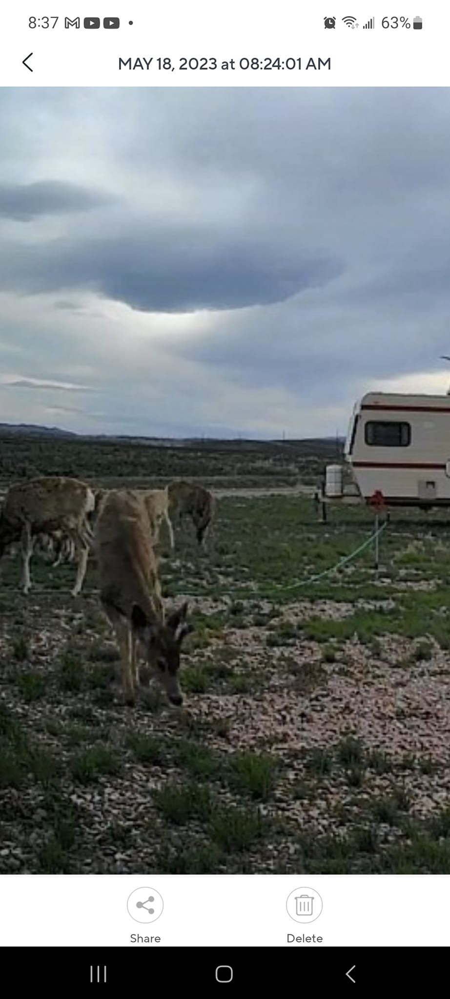Mountain Bluebird RV Park