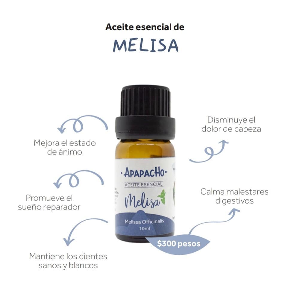 ¿Conoces la planta de melisa... - Belleza & Control de Peso. | Facebook