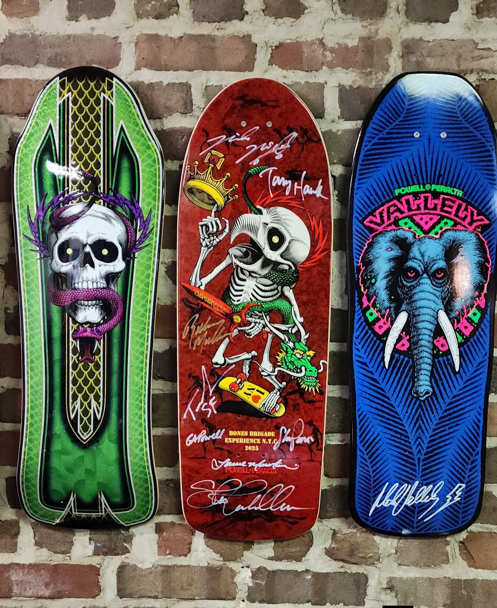 1987 XT Bonite Powell Peralta Mcgill with refurbished Tracker