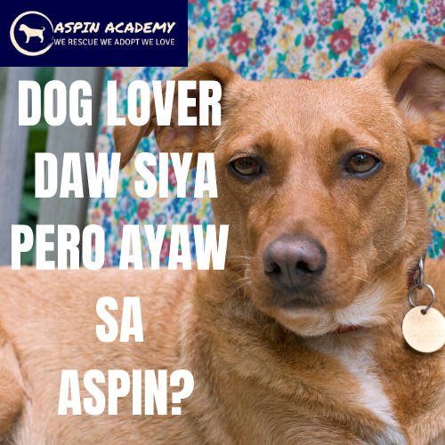 aspin academy - home facebook