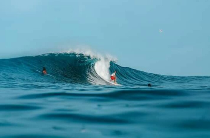 Meet the Pacifico Wave Riders of... - Rash Guards Philippines