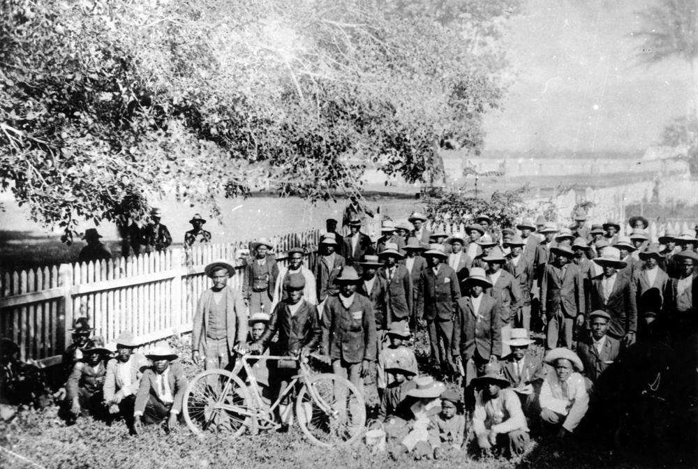 The colonial labour trade, known as... - Pacific research