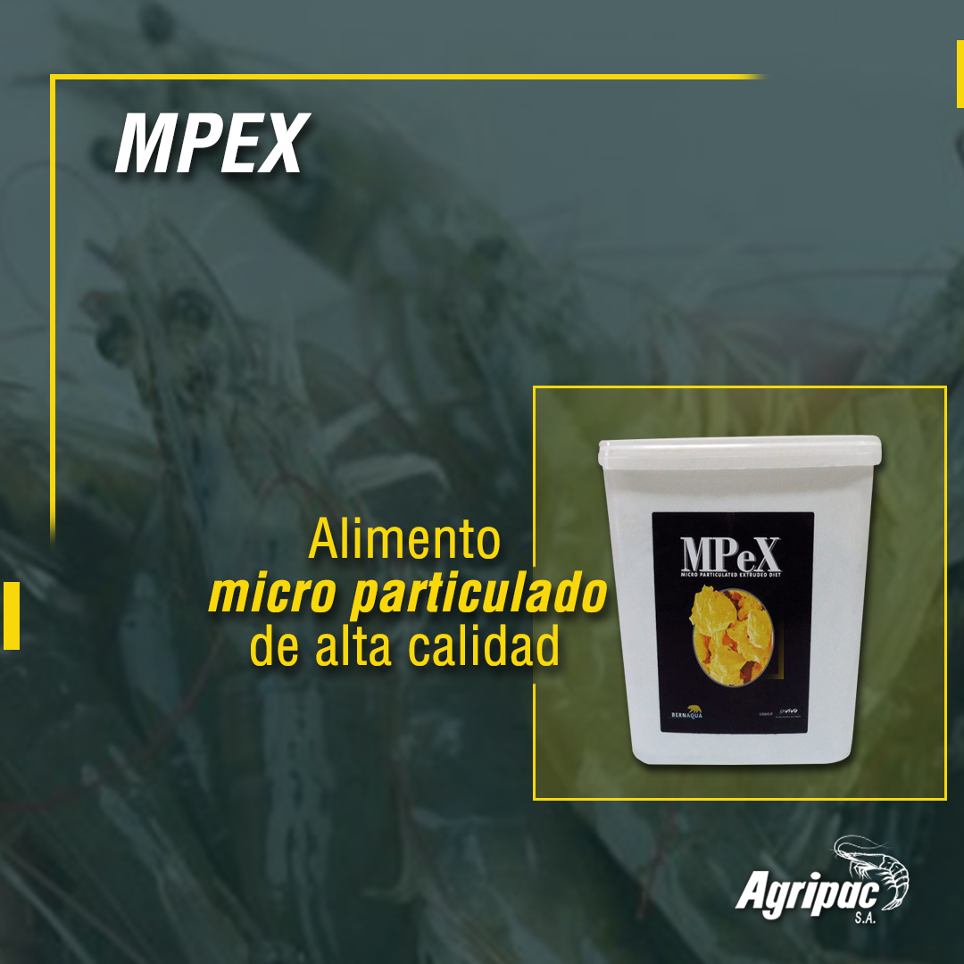 #MPEX alimento micro particulado de... - Acuacultura Agripac