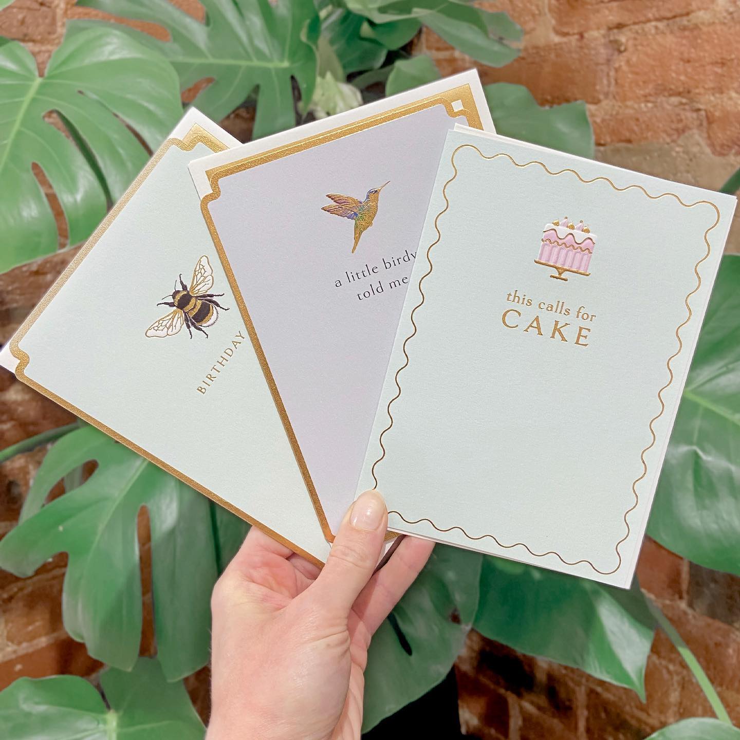 Fox & Butler - Which is your favourite? #FoxandButler...