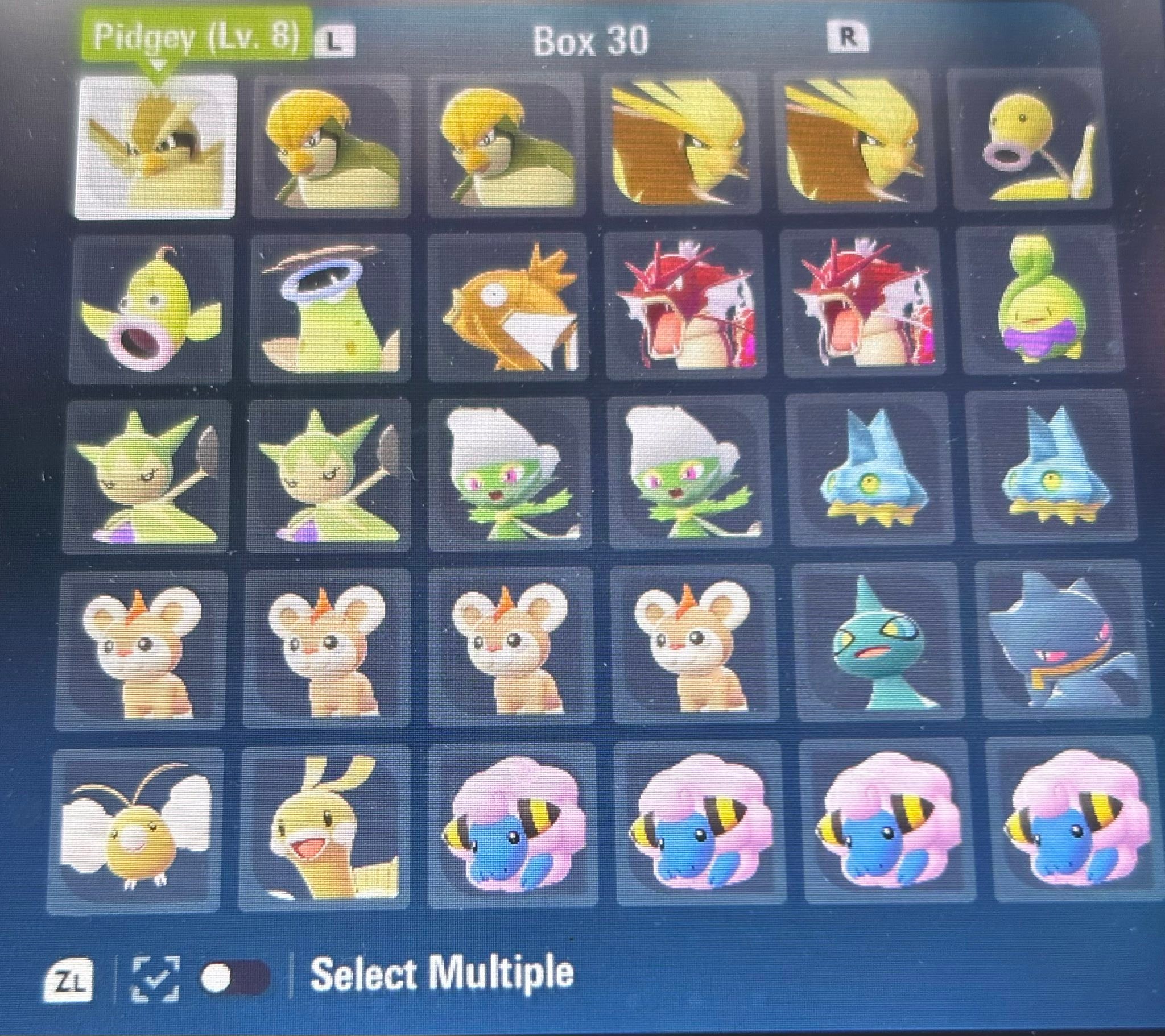 Pokemon Scarlet/Violet Shiny Egg Tinkatink (6IV, Adamant) - Hatch Your Own OT