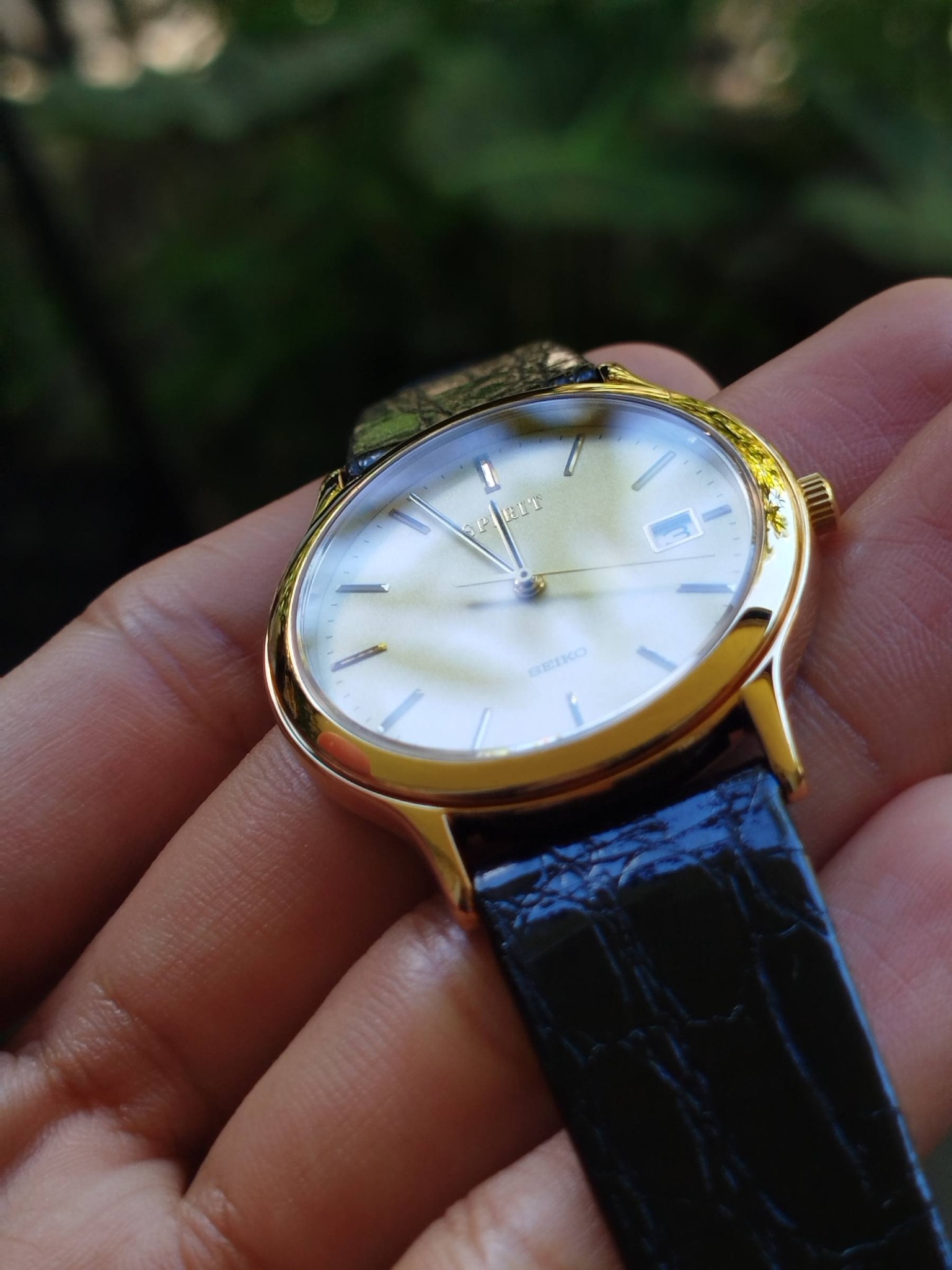 Seiko Spirit