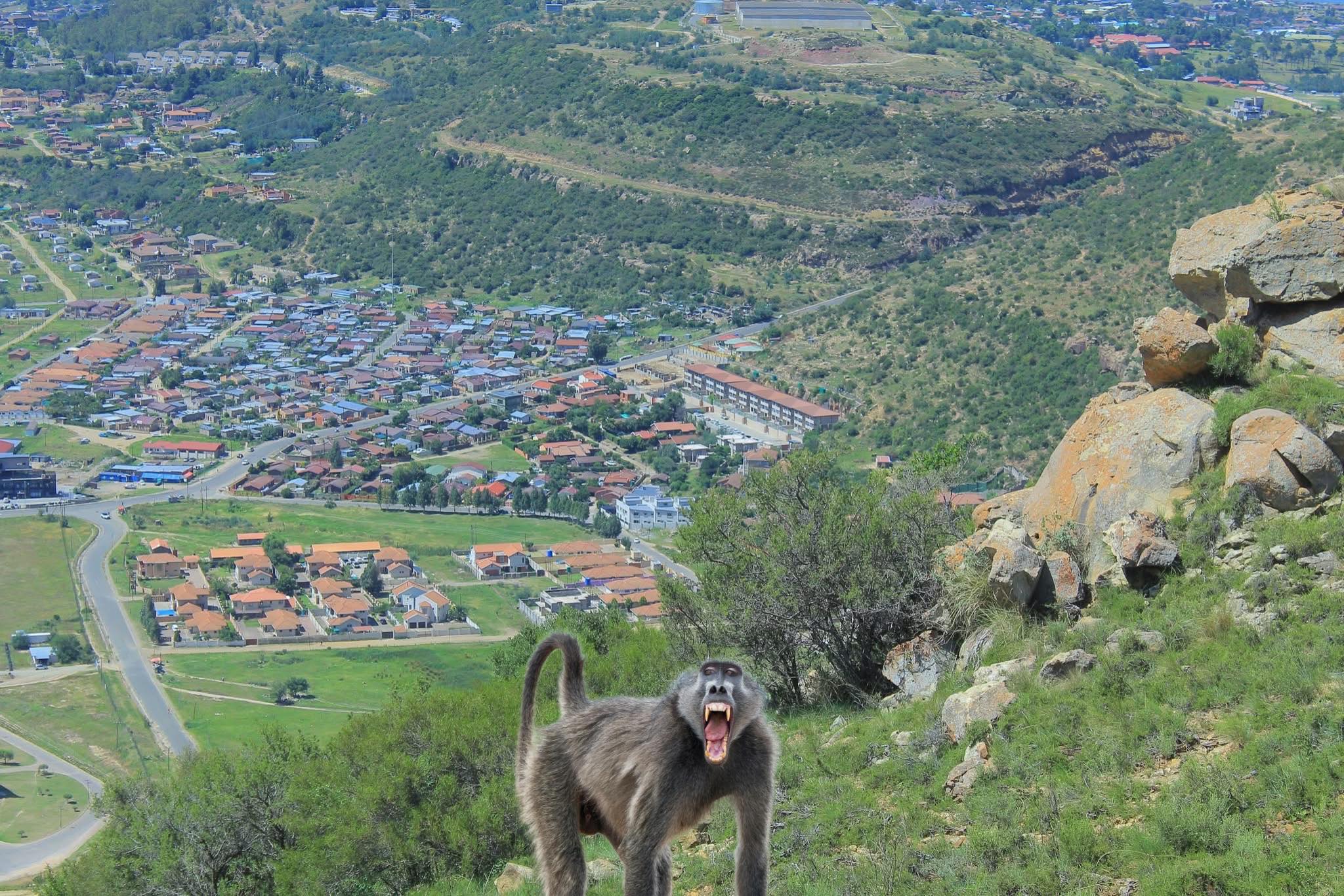 Ben Babeli - People from Katlehong, Qoaling n Ha Thetsane... | Facebook
