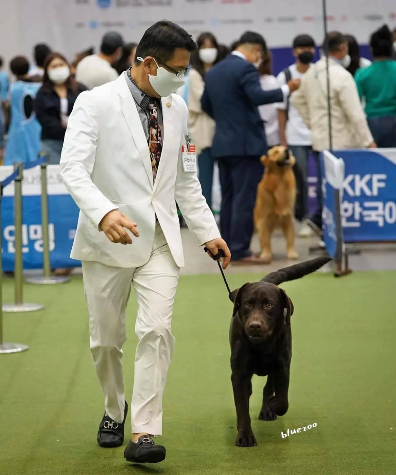พี่กังวล เมื่อวาน ว่า ด็อบบี้จะ... - Dobby Bambii labrador