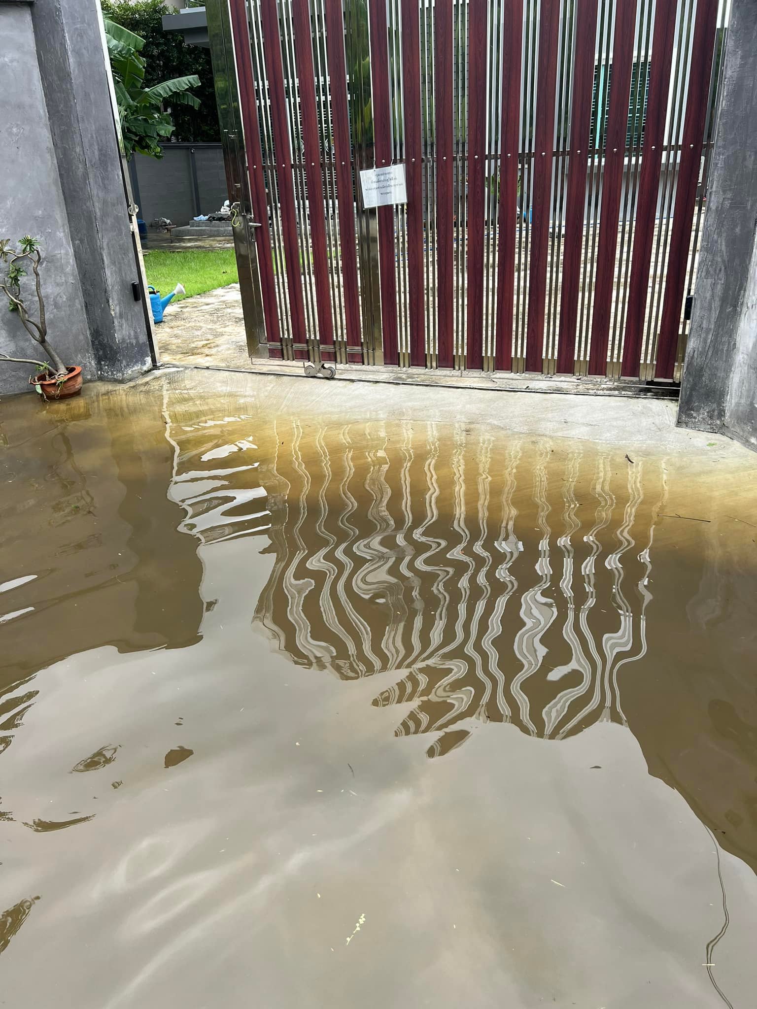Apicha Insuwan - ท่วมบ้านฉันแล้วว 😵‍💫😵‍💫😵‍💫... | Facebook