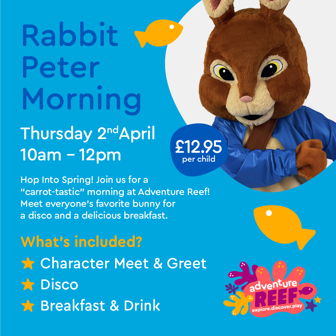 Rabbit Peter Morning