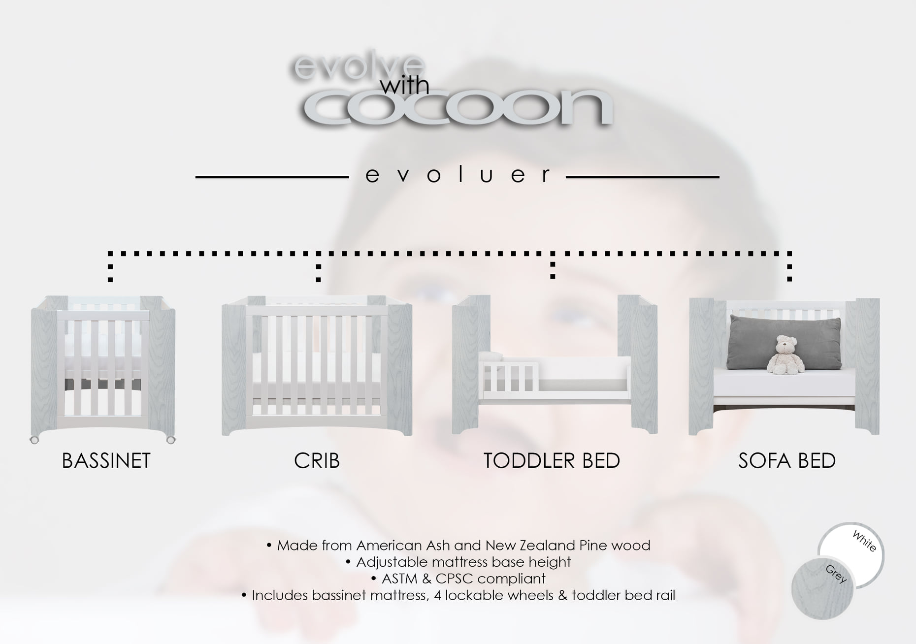 Cocoon Furniture USA - Home