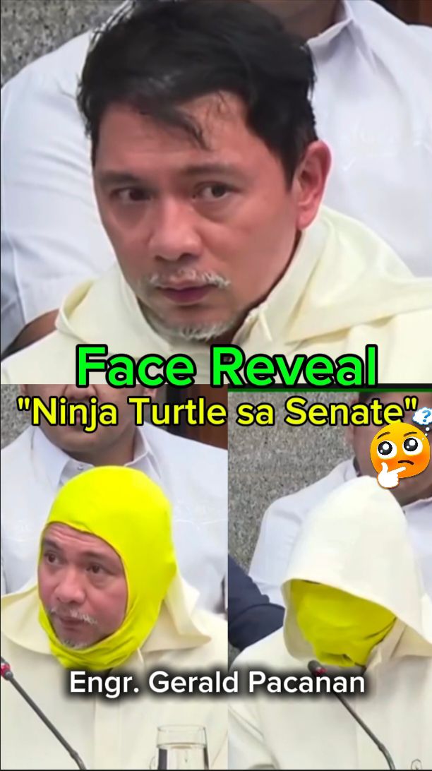 Jessie - Former DPWH MIMAROPA Regional Director Gerald Pacanan faced ...