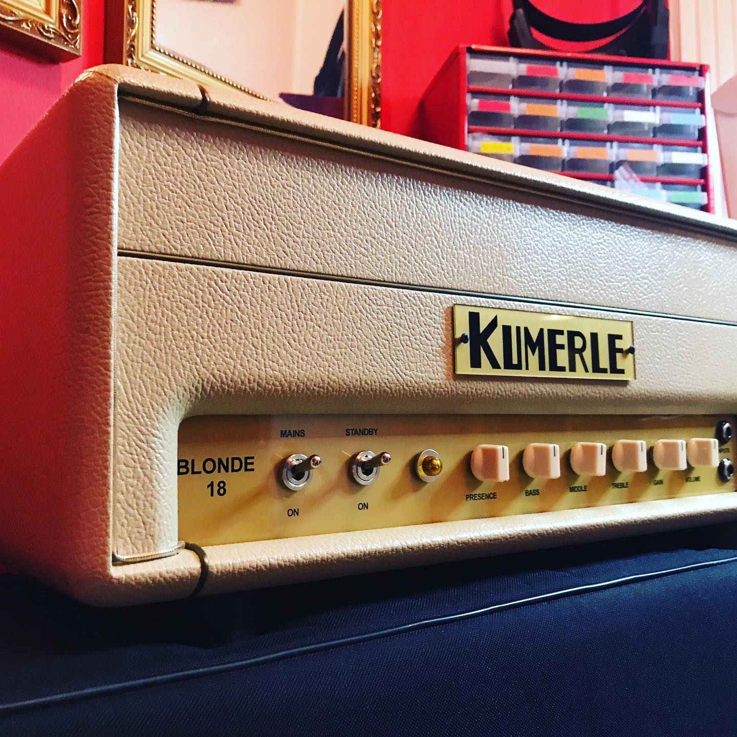 Book an appointment for a hands on... - Manic custom guitars | Facebook