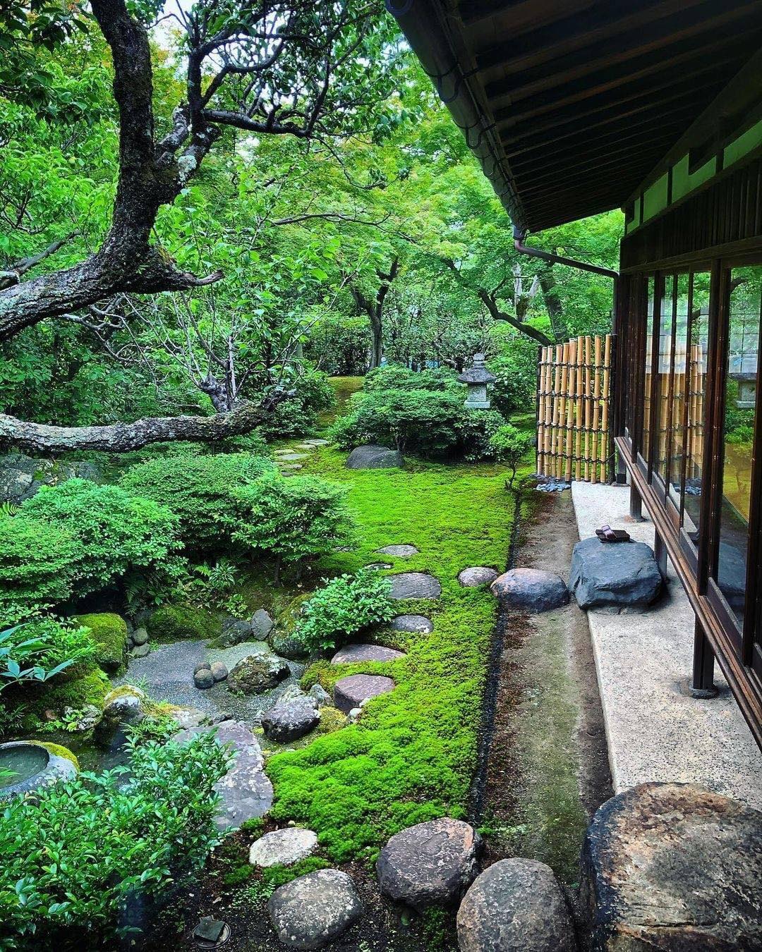 Presenting my new favourite thing in Japan. Tsuboniwa (坪庭