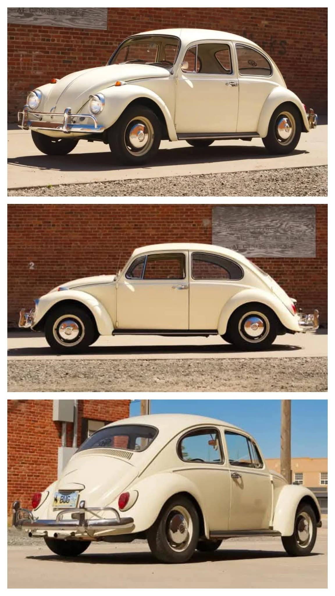 1967 Volkswagen Beetle - Road Signature 1/18.