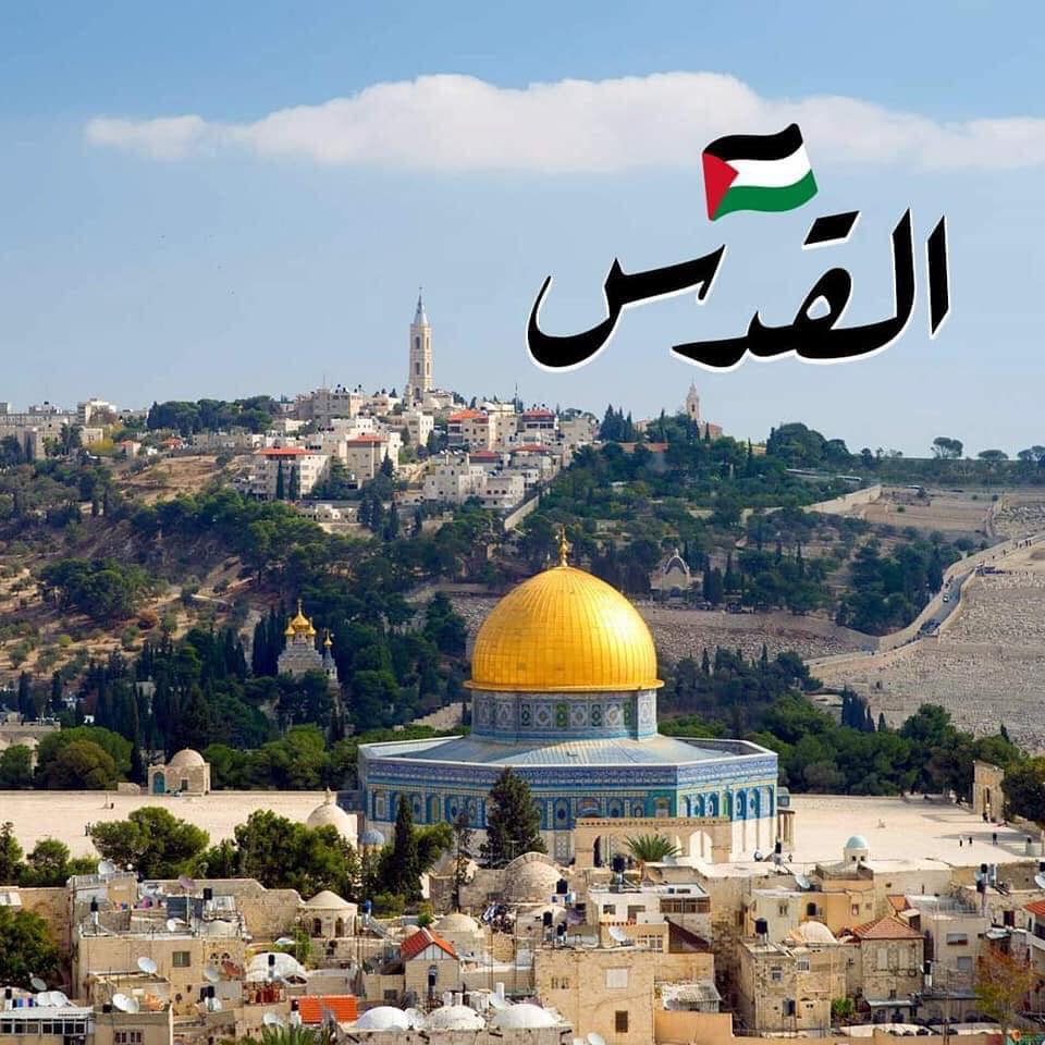 ‫صور لبعض مدن فلسطين ️🇵🇸 - مدينة عنبتا 