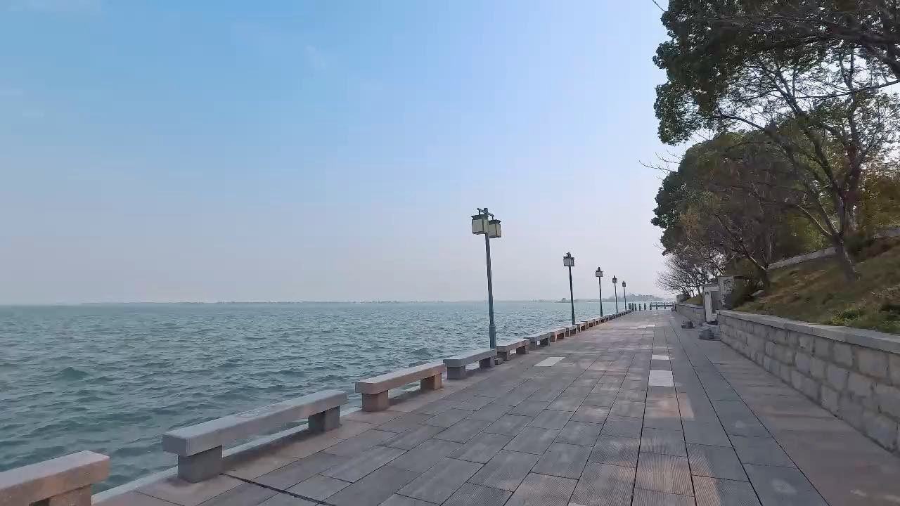 劉憶馨