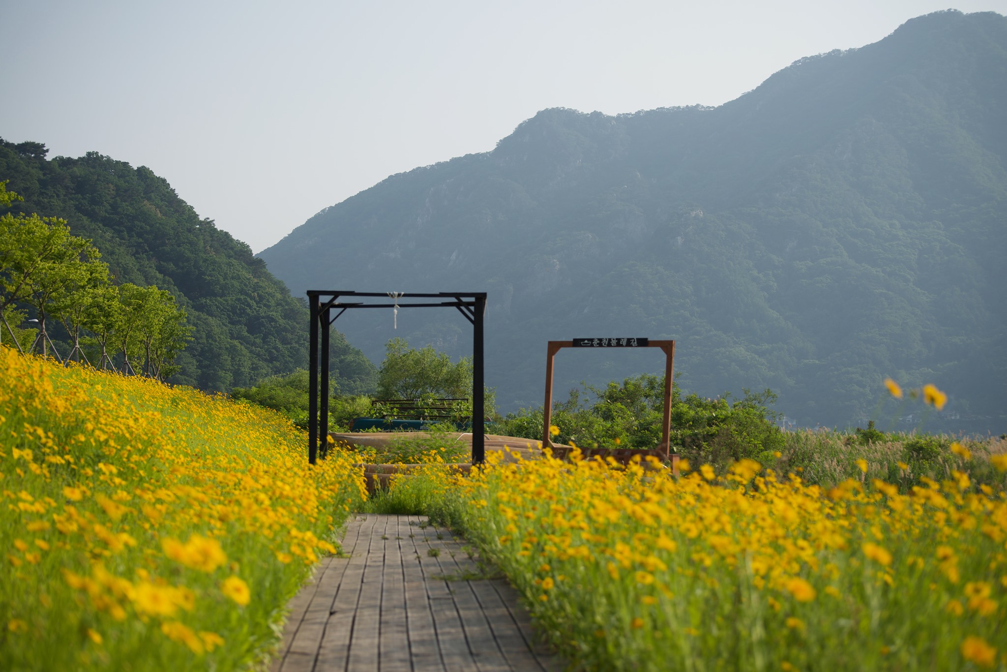 춘천시 대신 전해드립니다 - 춘천 이곳저곳 사진 10장 살기 좋은 도시, 로맨틱춘천 사회적 거리두기를... | Facebook