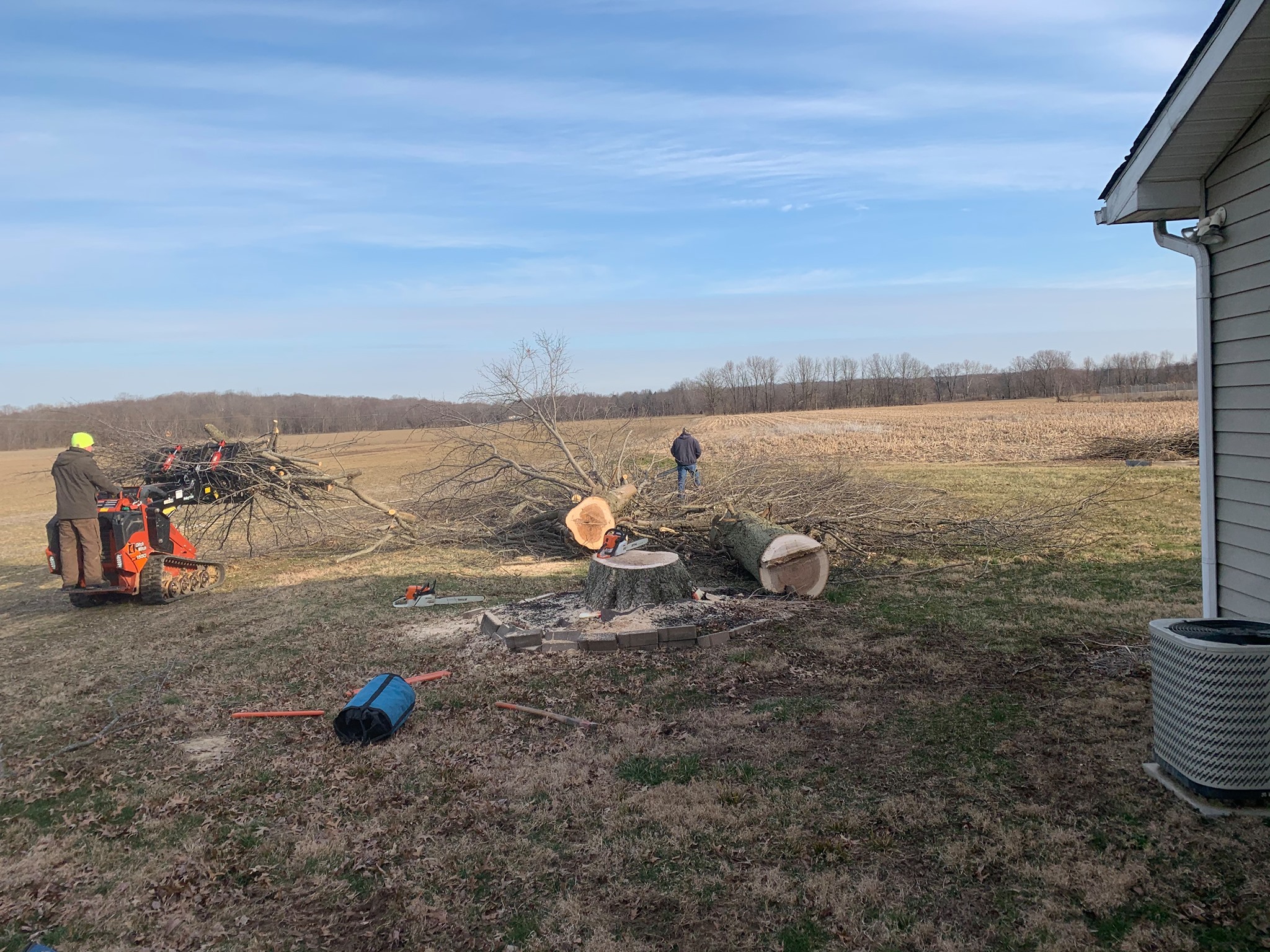 Foley Tree LLC | Martinsville IN