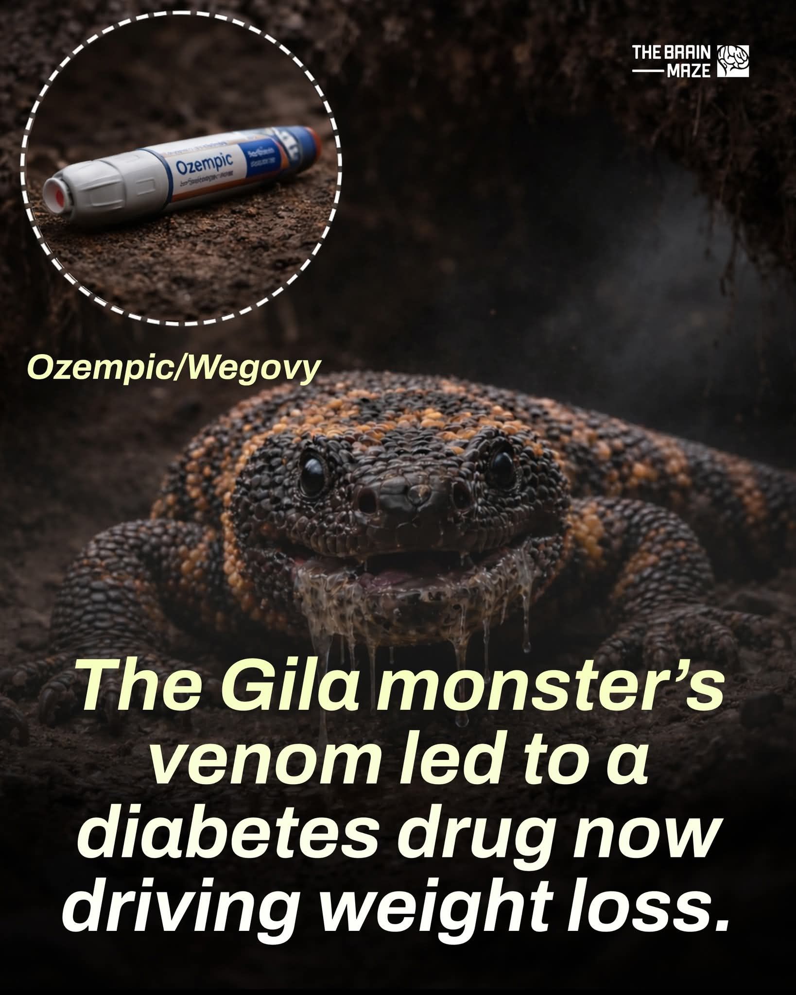 tirzepatide es igual que semaglutide vs Tirzepatide: One Clear Winner (2026) Cada organismo é único. Purchase Plan:2-Months Supply prebiotic