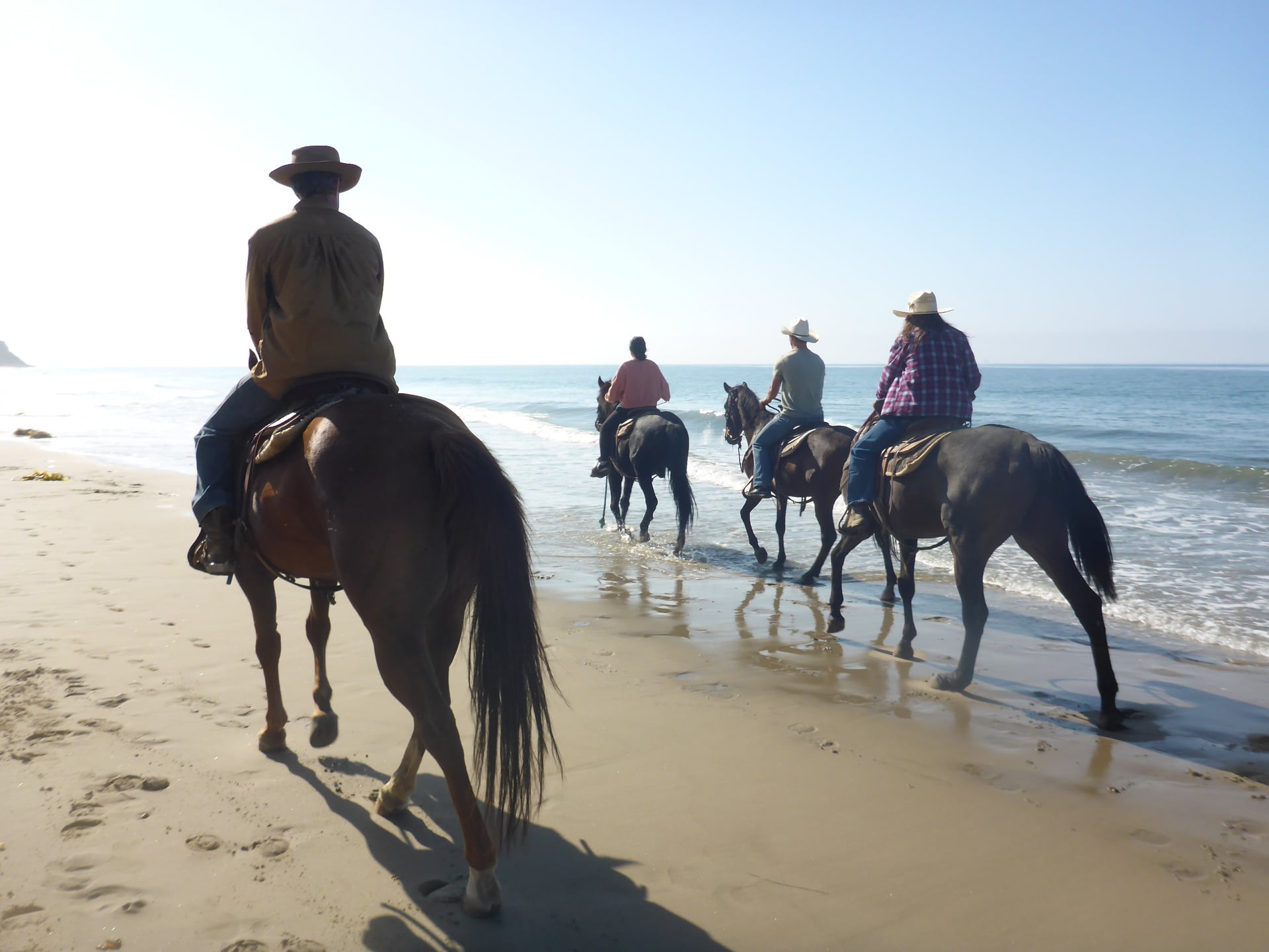 Fahnestock Ranch | Acton CA