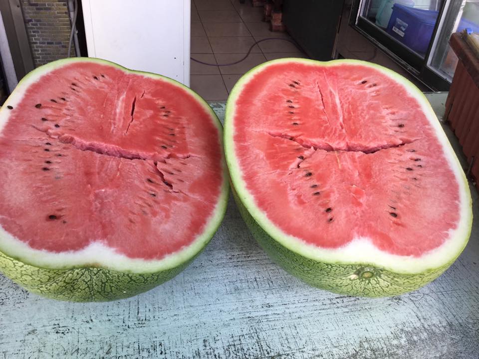 東昇大瓜