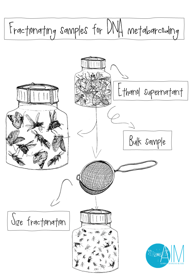 Read about... - AIM - Advanced Identification Methods GmbH