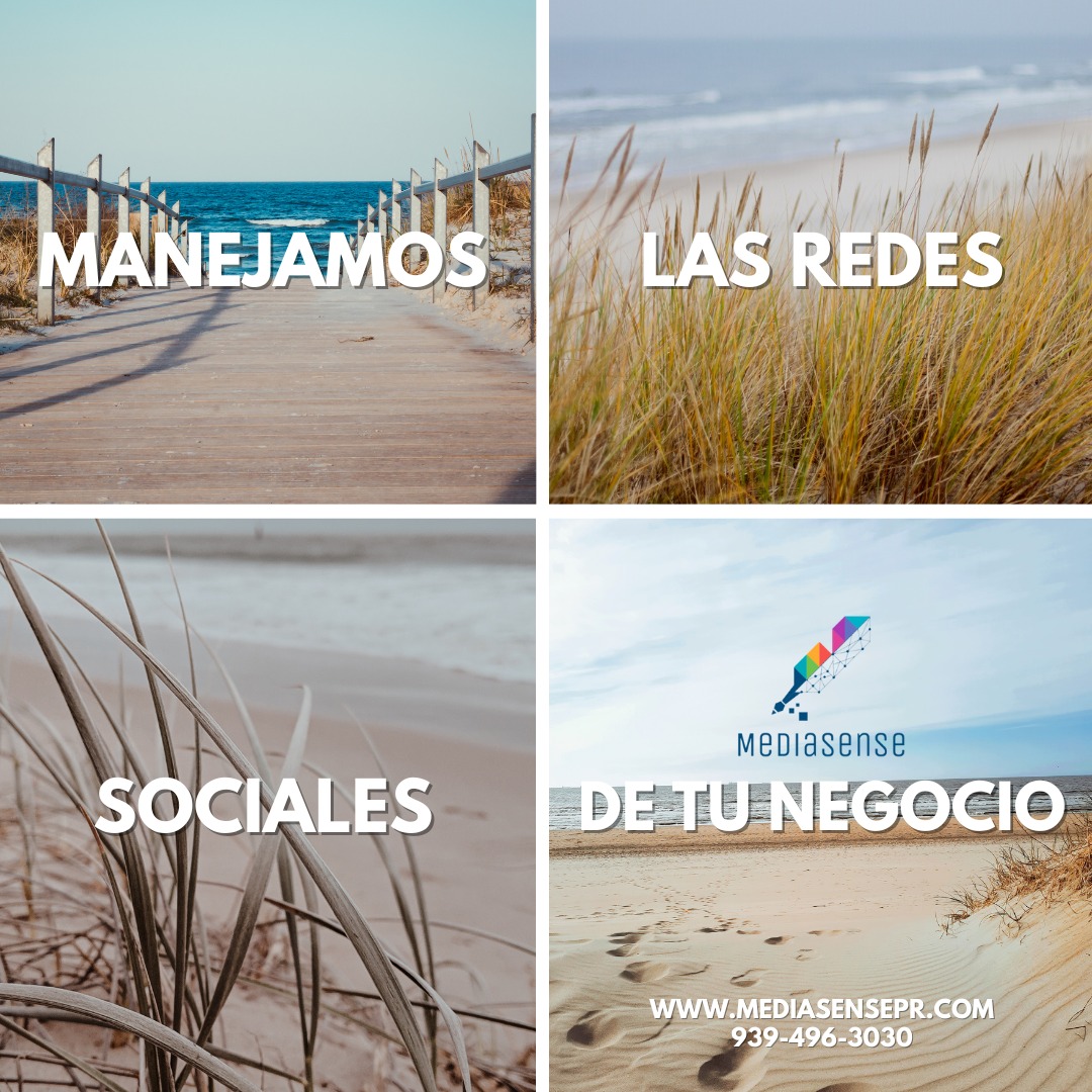 MediaSense | Bayamon