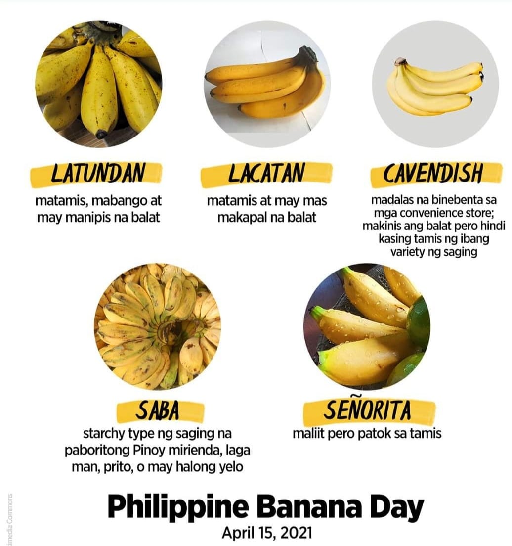 Bato Rocky Boy - ANG MGA URI NG SAGING SA ATING BANSA #CTTO