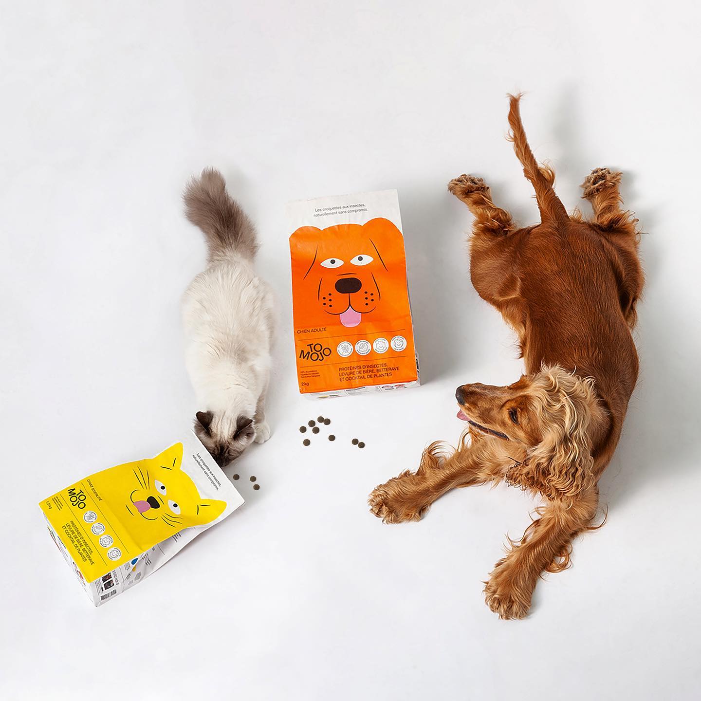 Probian - Un #alimento para #perro y #gato con 60% de...