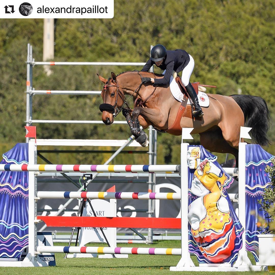 Double M Horses References 🇫🇷 Pembroke • • What a cracking pair