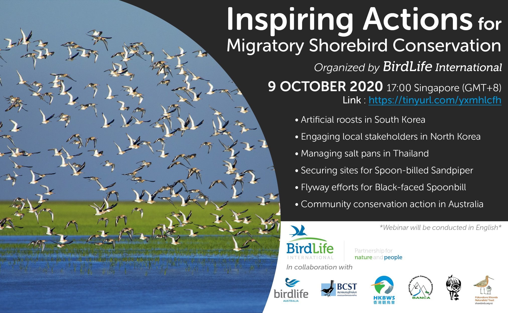 We know many of our... - Spoon-billed Sandpiper Task Force