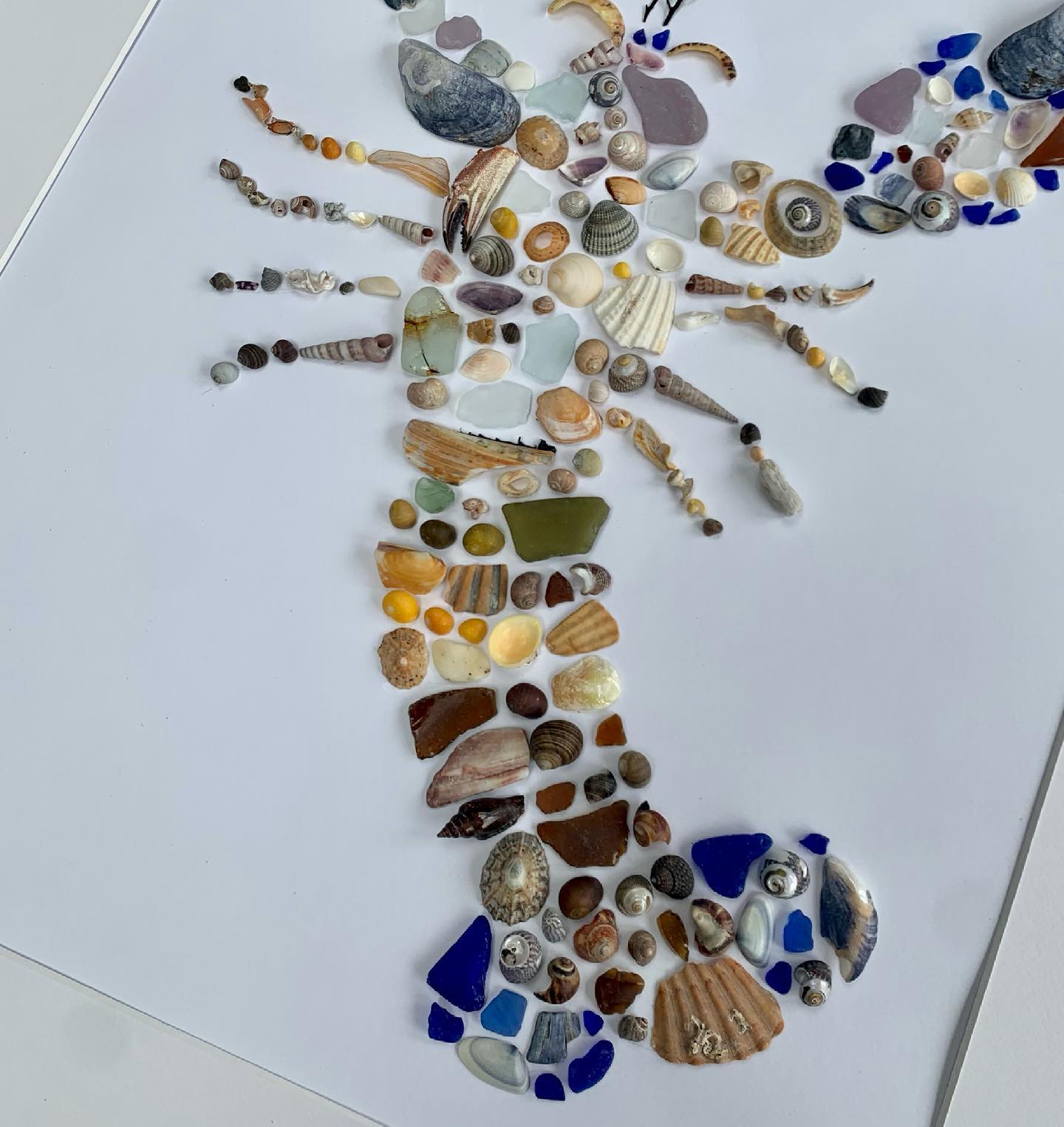 The Shell Queen