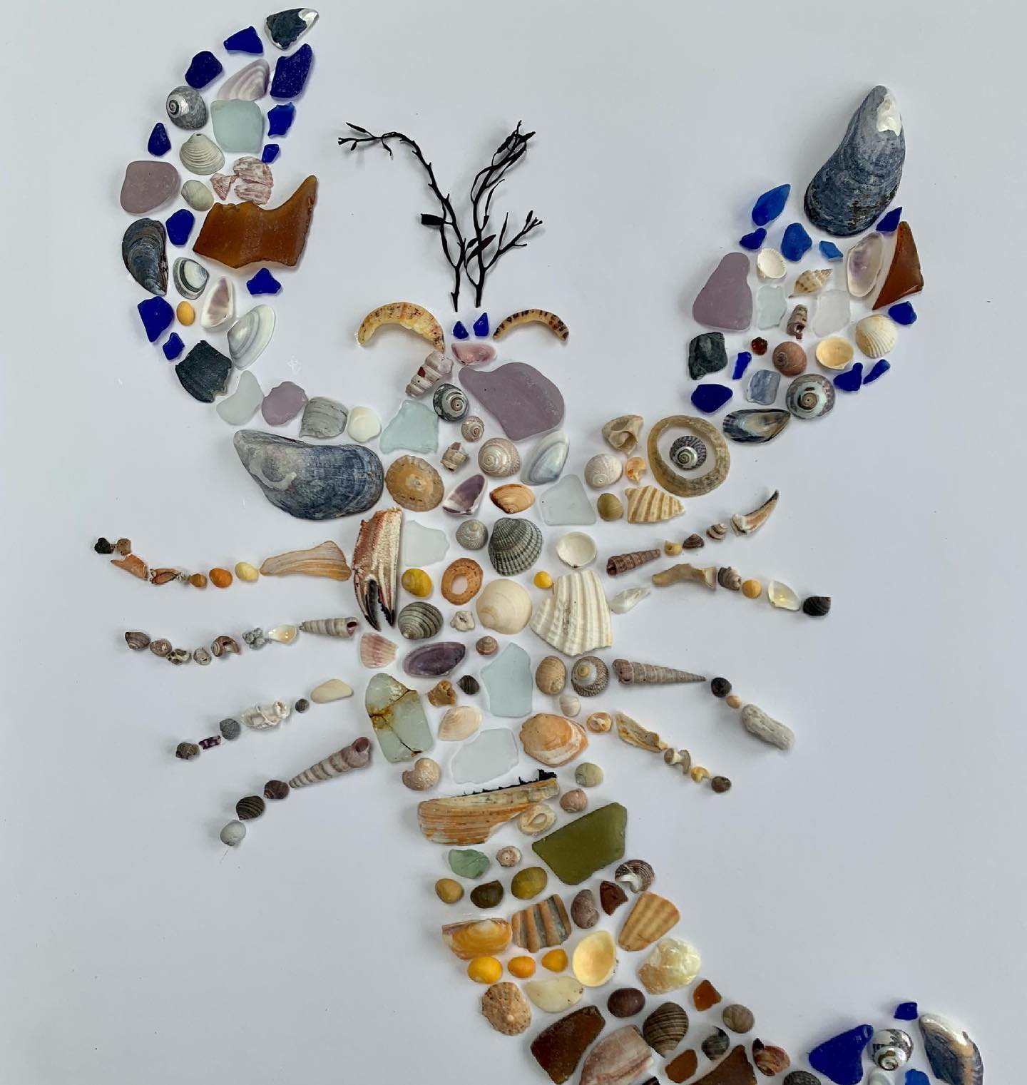 The Shell Queen