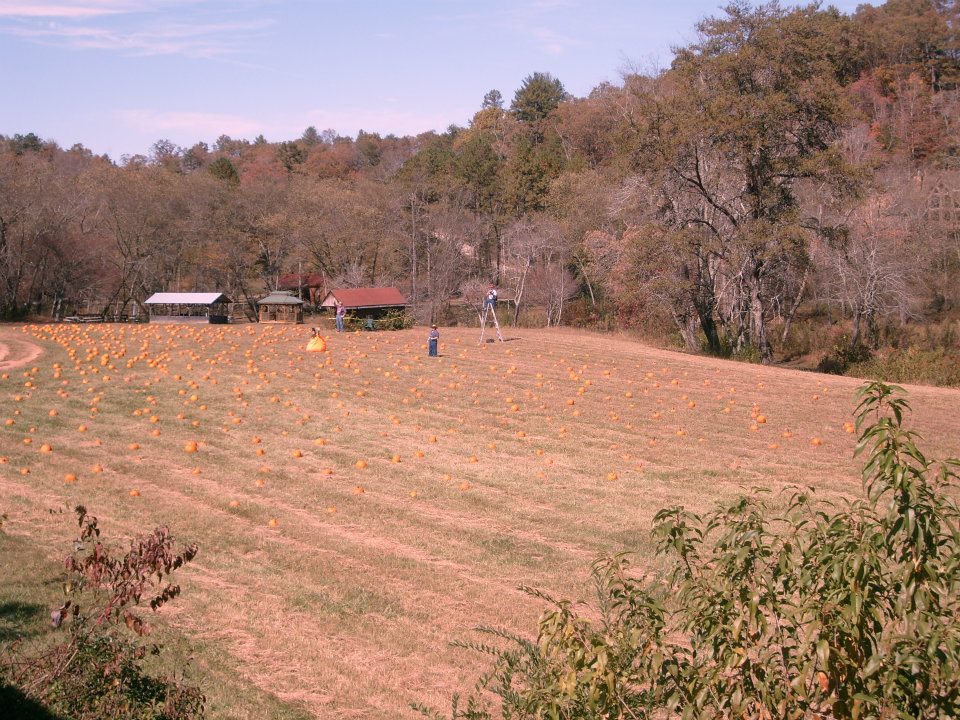 Blue Ridge Scenic Railway | Blue Ridge GA