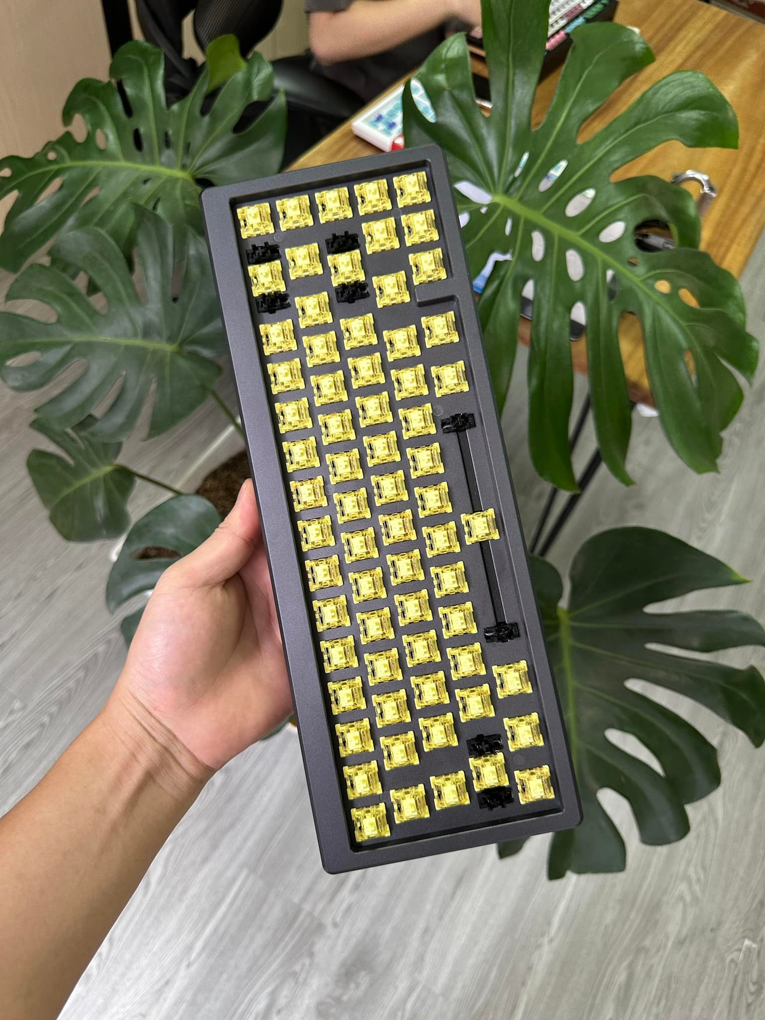 Chợ Bàn Phím Cơ Việt Nam | Còn dư mấy con mod005 new | Facebook