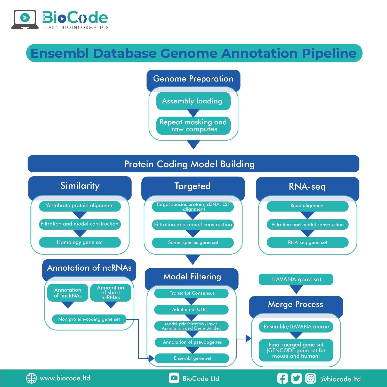 BioCode - The Ensembl pipeline is an extension to the...