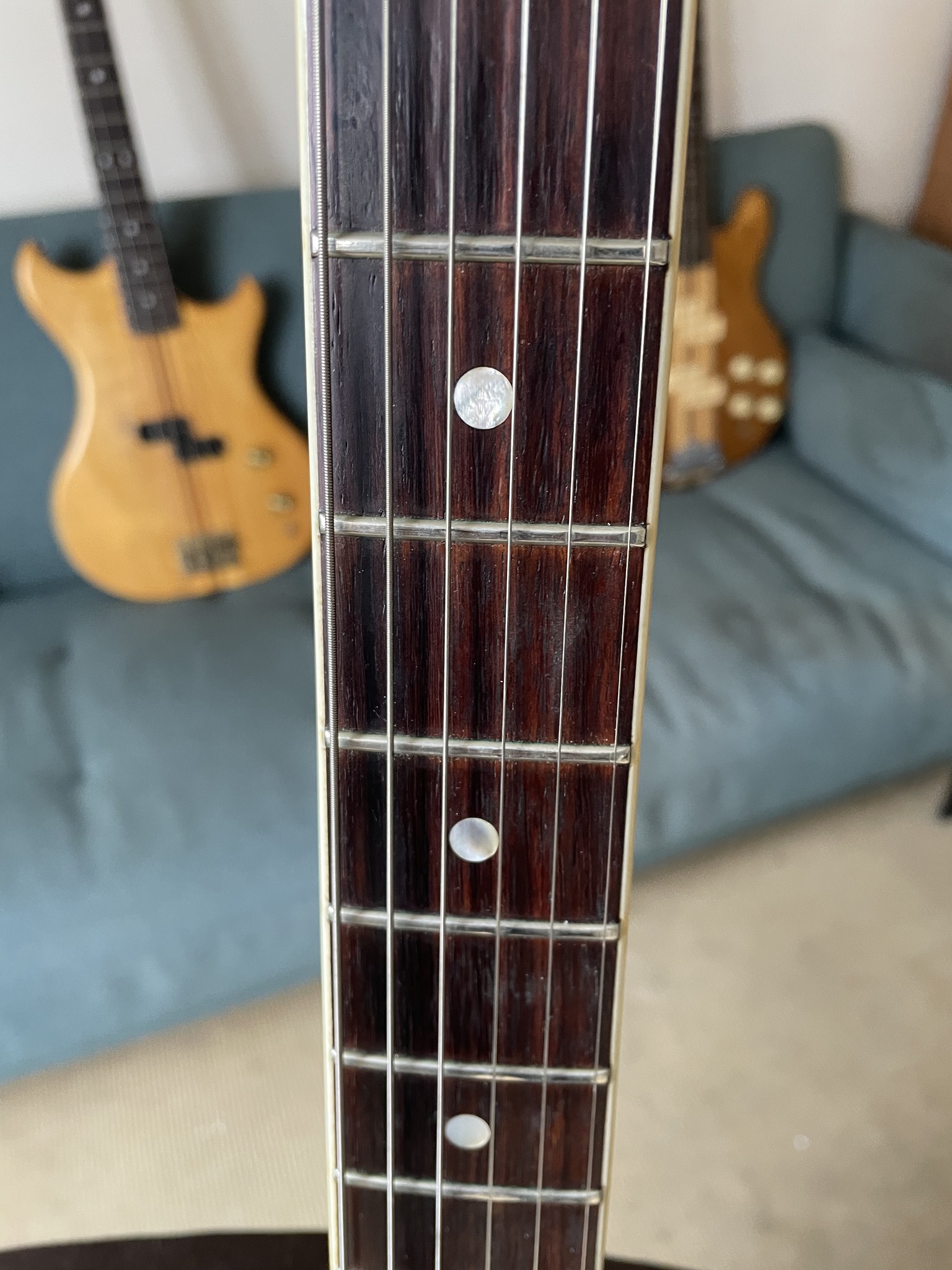 El Maya EM-1200 1979 guitar with custom pickup covers
