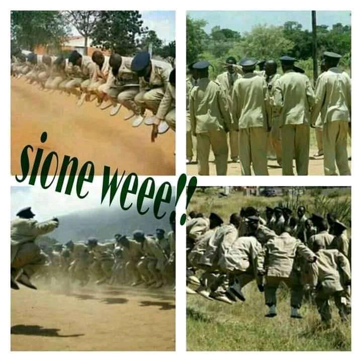 Shadrack Oom Shado