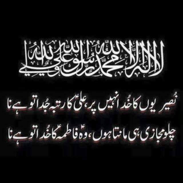 Servant_of_ahlabait - بی بی زینبؐ 🙏💫 #arbaeen #اربعین #arbaeenwalk - # ...