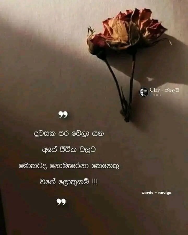 Thishari Ramanayaka