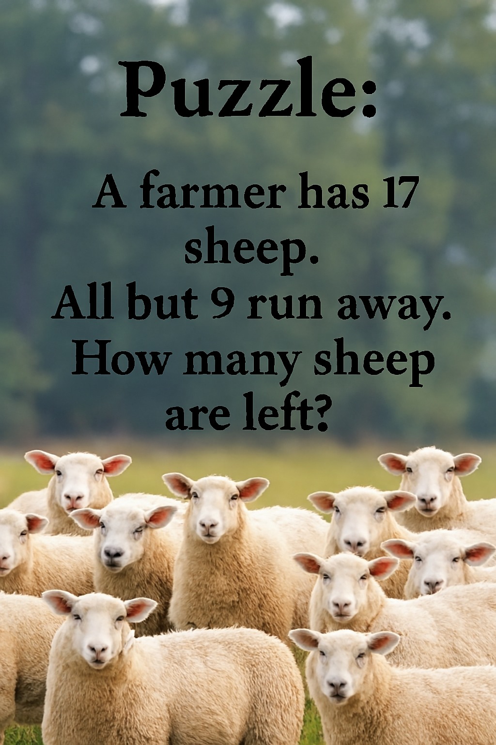 Puzzles and Questions | Puzzle time! How many sheep are left? # ...